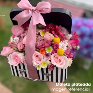 Maleta Duo Tone