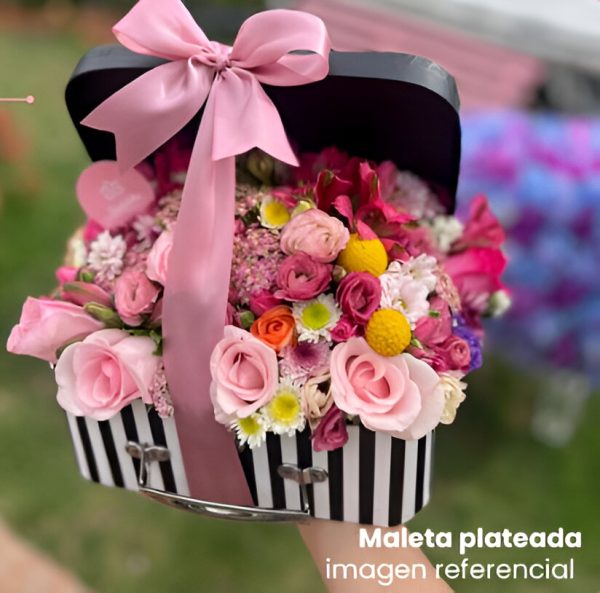 Maleta Duo Tone