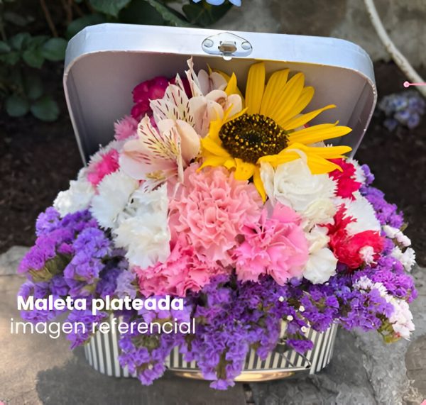 Maleta Plateada